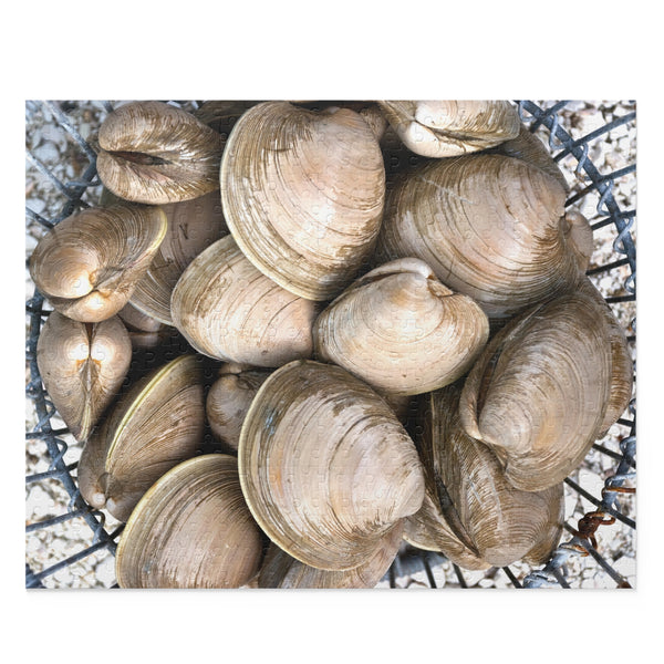 Quahogs Puzzle (120, 252, 500-Piece)
