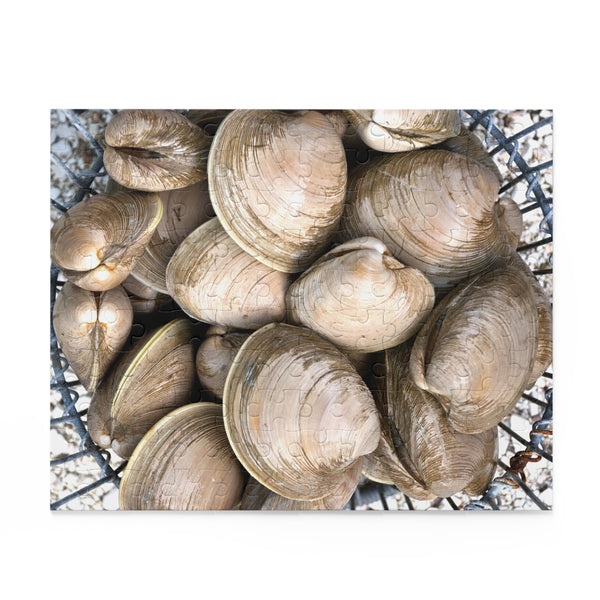 Quahogs Puzzle (120, 252, 500-Piece)