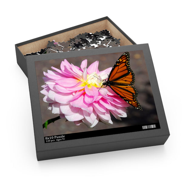 Monarch on Dahlia Puzzle (120, 252, 500-Piece)