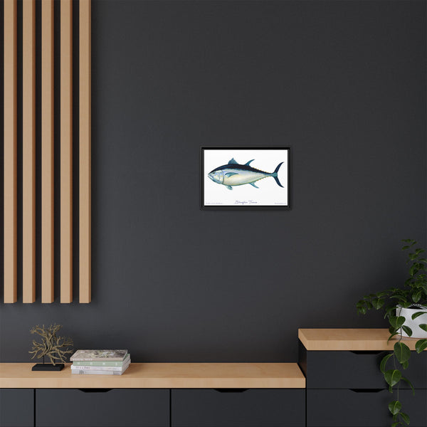 Bluefin Tuna Framed Canvas Fish Art Print