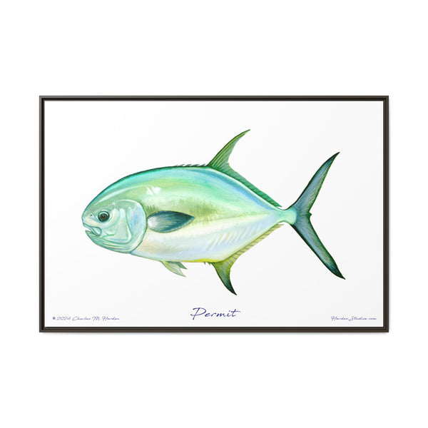 Framed Permit Canvas Fish Fishing Wall Art Print