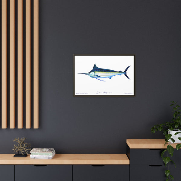 Framed Blue Marlin Canvas Fish Wall Art Print by Charles Harden