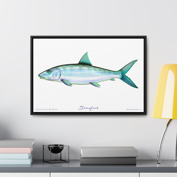 Framed Bonefish Canvas Fish Wall Art Print with Free Shipping