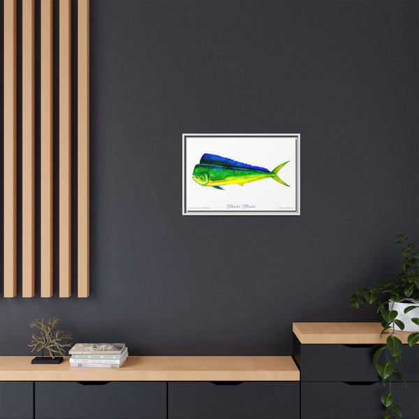 Mahi Mahi Framed Canvas Fish Art Print