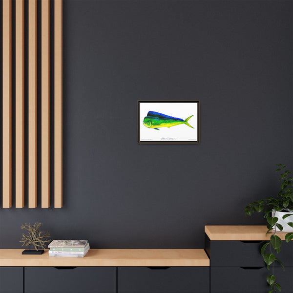 Mahi Mahi Framed Canvas Fish Art Print