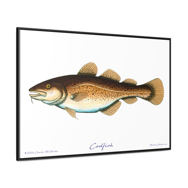 Framed Codfish Canvas Fish Fishing Wall Art Print with Free Shipping