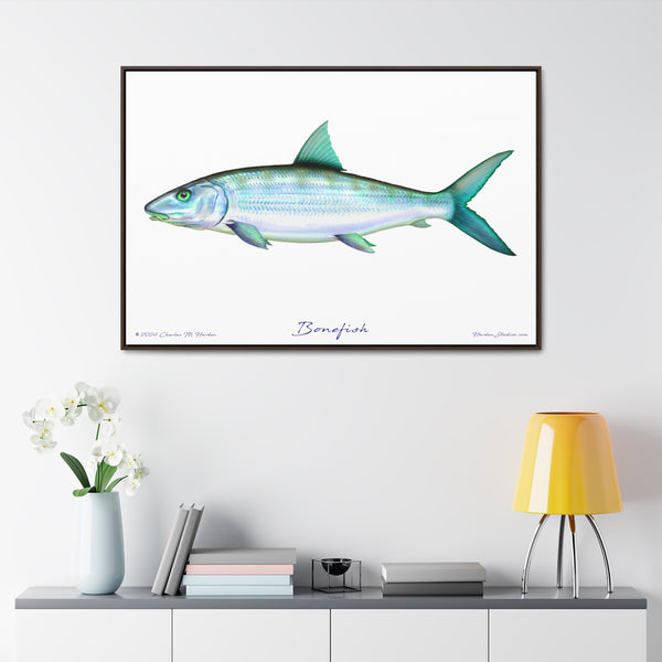 Framed Bonefish Canvas Fish Wall Art Print with Free Shipping