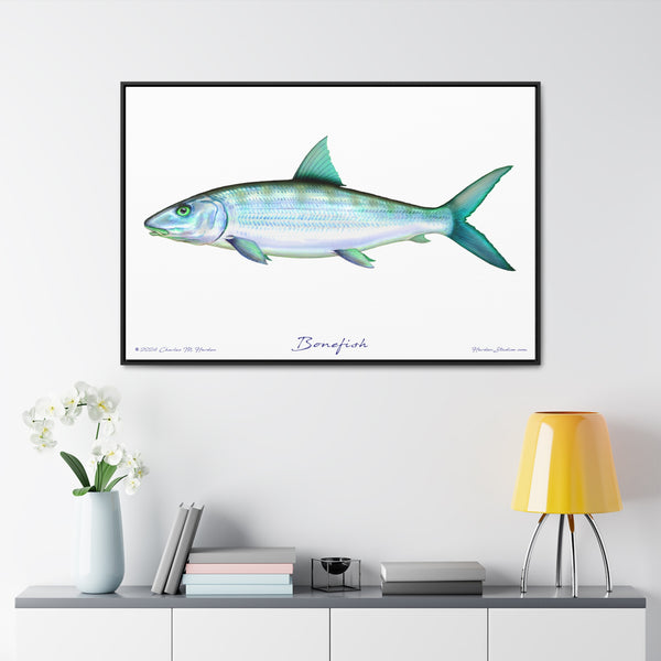 Framed Bonefish Canvas Fish Wall Art Print with Free Shipping