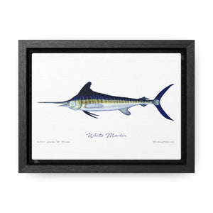 White Marlin Fish Art Print