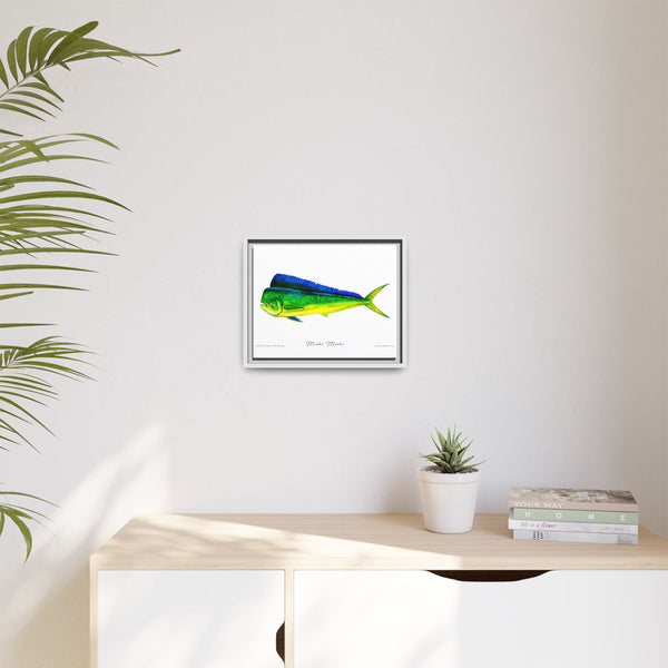 Mahi Mahi Framed Canvas Fish Art Print