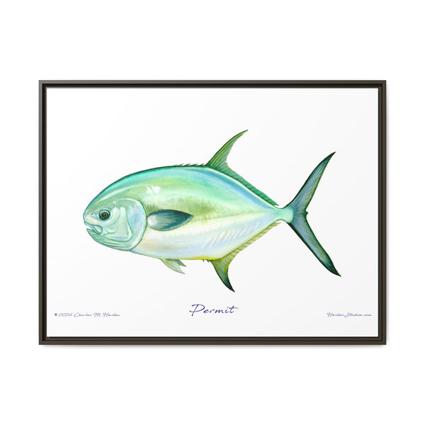 Framed Permit Canvas Fish Fishing Wall Art Print