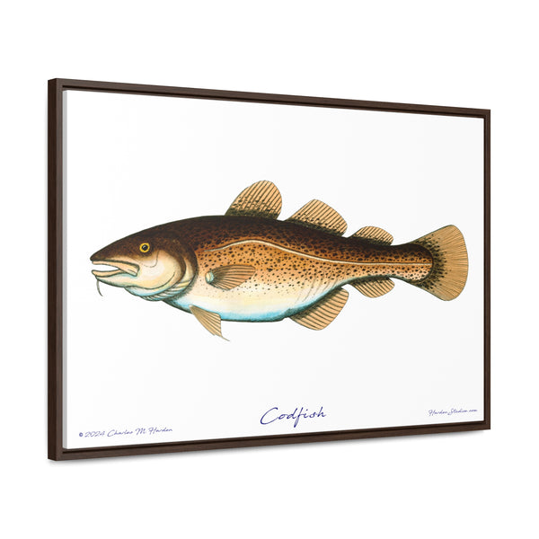 Framed Codfish Canvas Fish Fishing Wall Art Print with Free Shipping