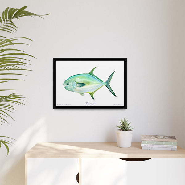 Framed Permit Canvas Fish Fishing Wall Art Print