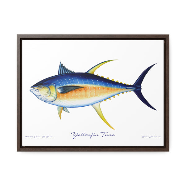 Framed Yellowfin Tuna Canvas Fish Fishing Wall Art Print Free Shipping