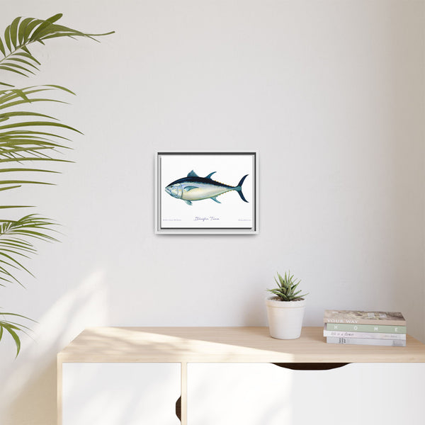 Bluefin Tuna Framed Canvas Fish Art Print