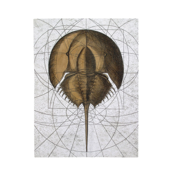 The Remnant Horseshoe Crab Velveteen Plush Blanket