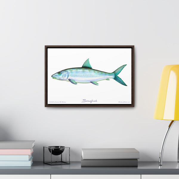 Framed Bonefish Canvas Fish Wall Art Print with Free Shipping