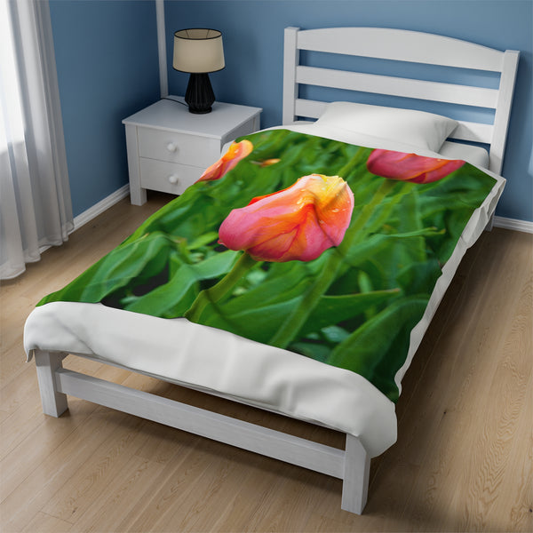 Morning Dew Tulip Garden Velveteen Plush Blanket