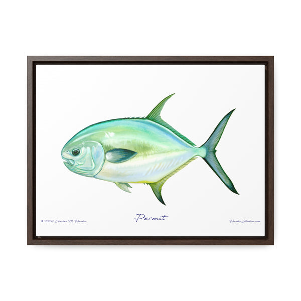 Framed Permit Canvas Fish Fishing Wall Art Print with Free Shipping