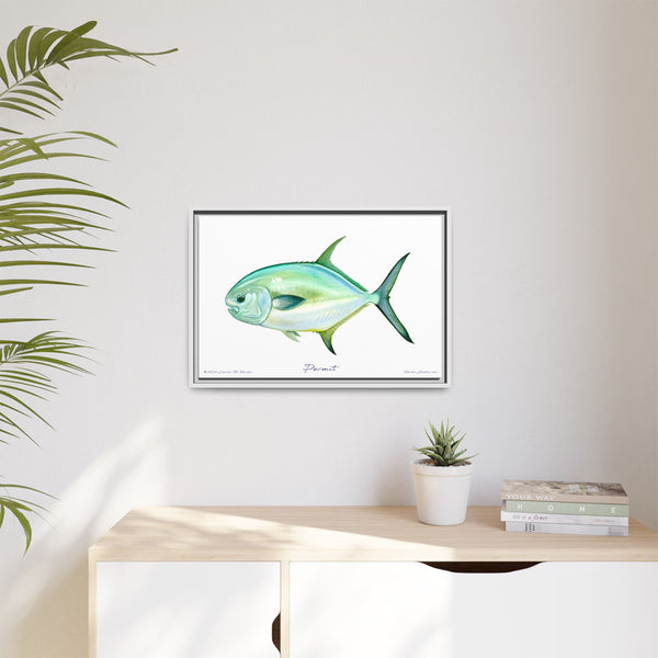 Framed Permit Canvas Fish Fishing Wall Art Print