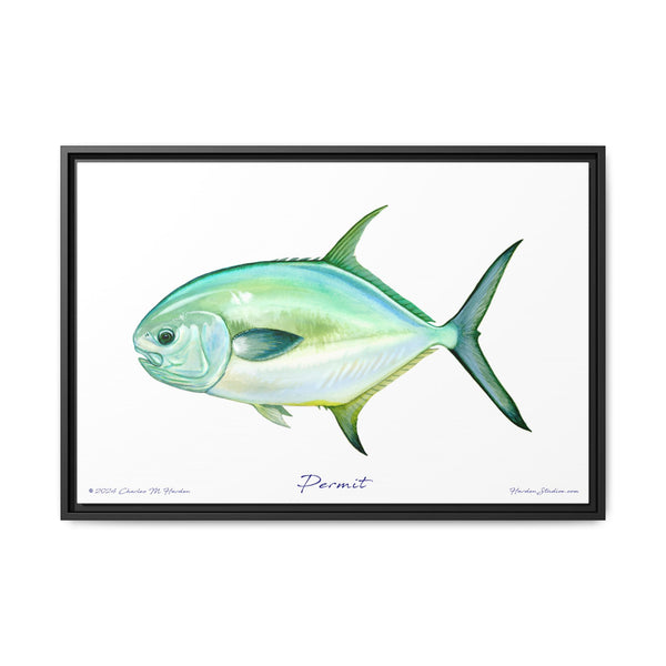 Framed Permit Canvas Fish Fishing Wall Art Print