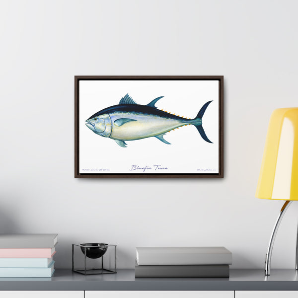 Bluefin Tuna Framed Canvas Wall Art - Free Ship