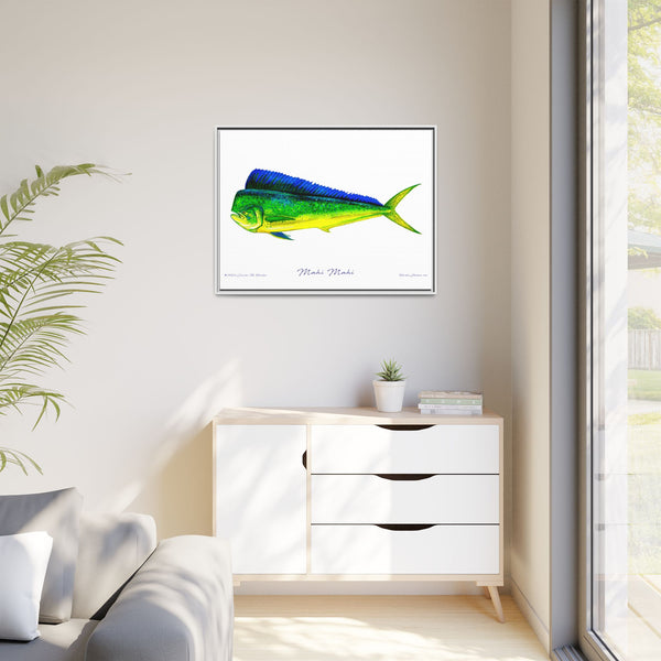 Mahi Mahi Framed Canvas Fish Art Print