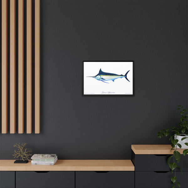 Framed Blue Marlin Canvas Fish Wall Art Print by Charles Harden