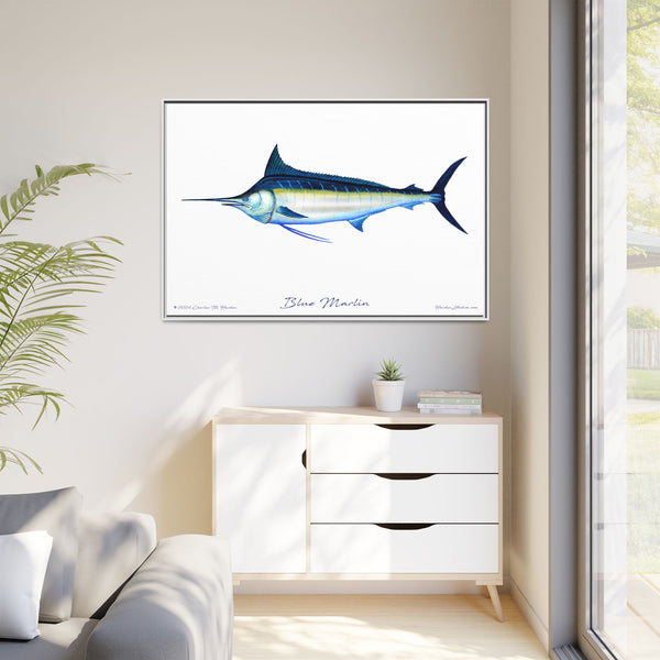 Framed Blue Marlin Canvas Fish Wall Art Print by Charles Harden