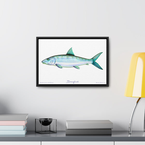 Framed Bonefish Canvas Fish Wall Art Print with Free Shipping