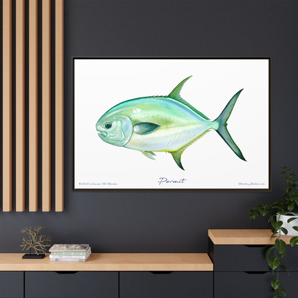 Framed Permit Canvas Fish Fishing Wall Art Print