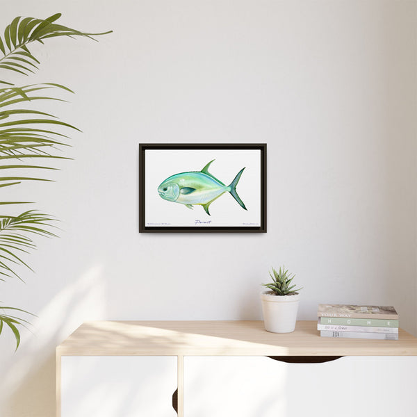 Framed Permit Canvas Fish Fishing Wall Art Print