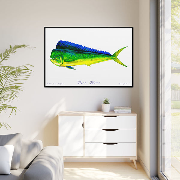 Mahi Mahi Framed Canvas Fish Art Print