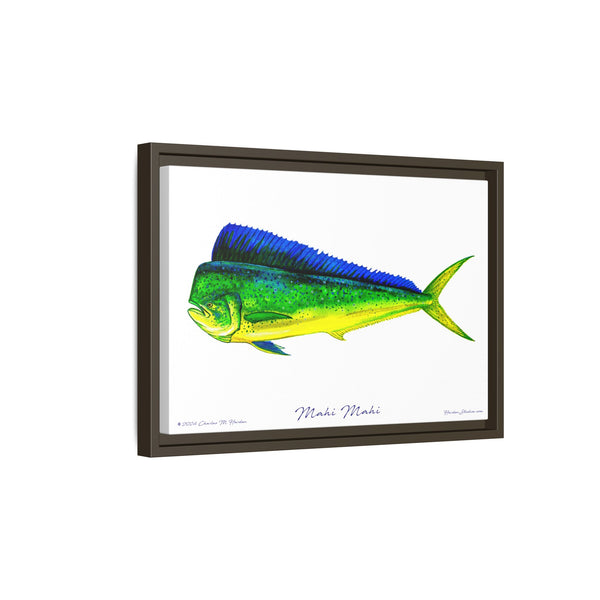 Mahi Mahi Framed Canvas Fish Art Print