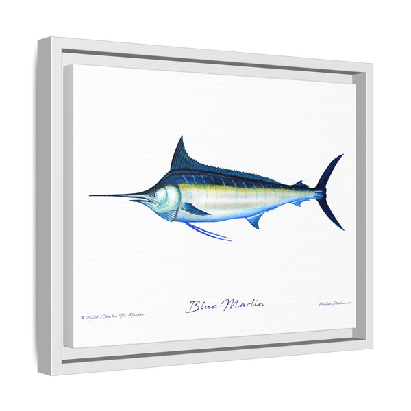 Framed Blue Marlin Canvas Fish Wall Art Print by Charles Harden