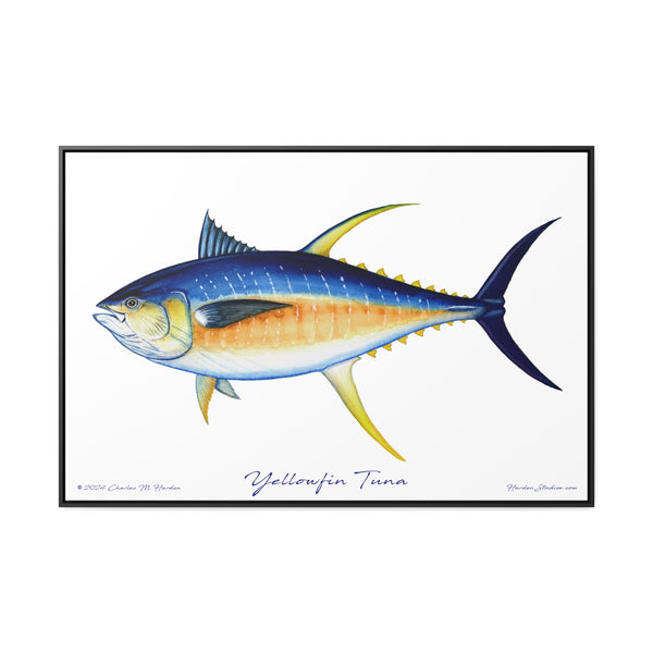 Framed Yellowfin Tuna Canvas Fish Fishing Wall Art Print Free Shipping