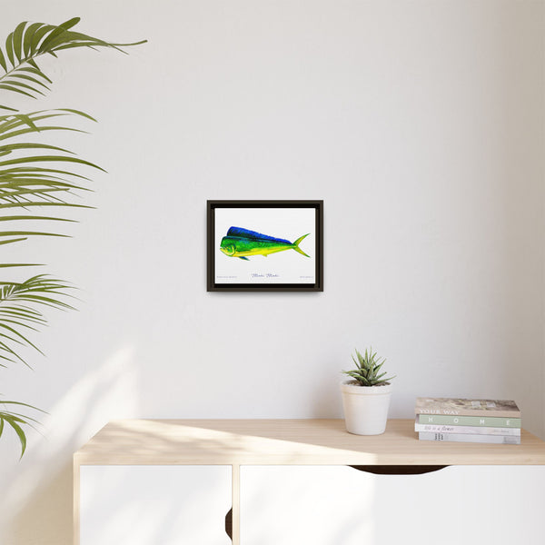 Mahi Mahi Framed Canvas Fish Art Print