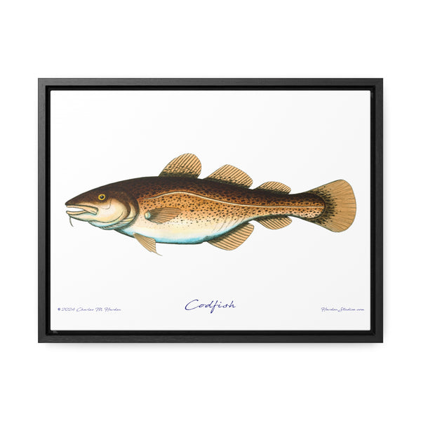 Framed Codfish Canvas Fish Fishing Wall Art Print with Free Shipping