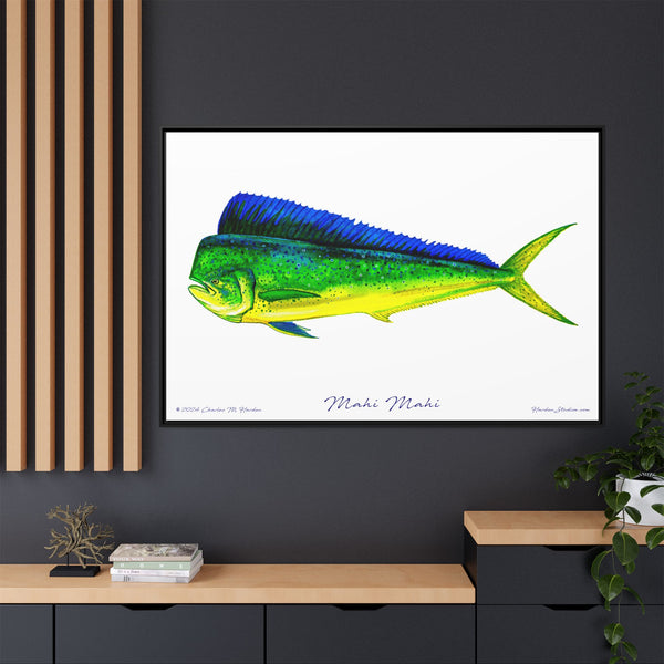 Mahi Mahi Framed Canvas Fish Art Print