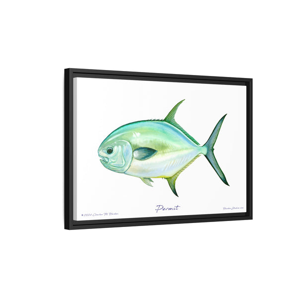 Framed Permit Canvas Fish Fishing Wall Art Print