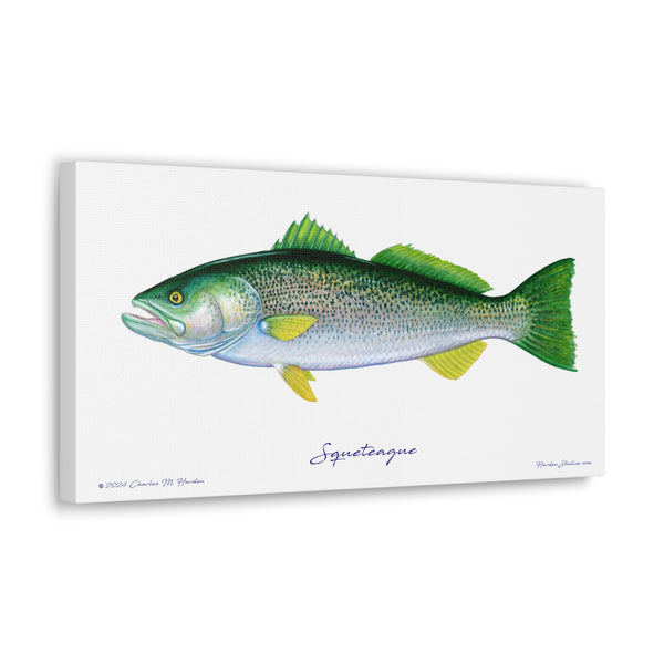 Squeteague Canvas Wall Art Print