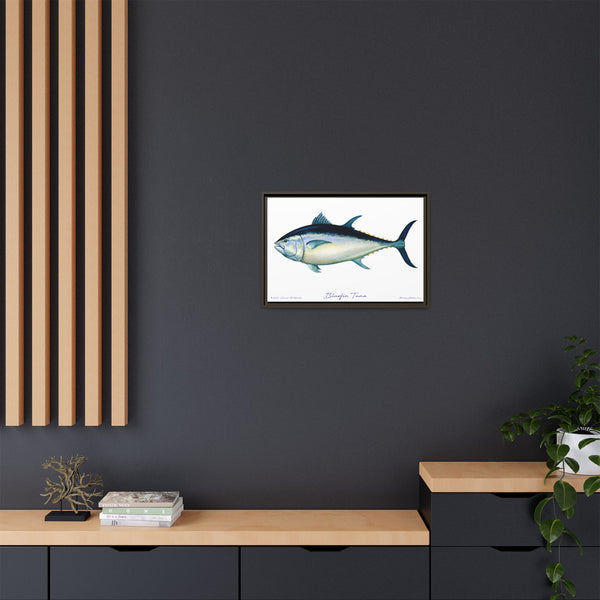 Bluefin Tuna Framed Canvas Fish Art Print