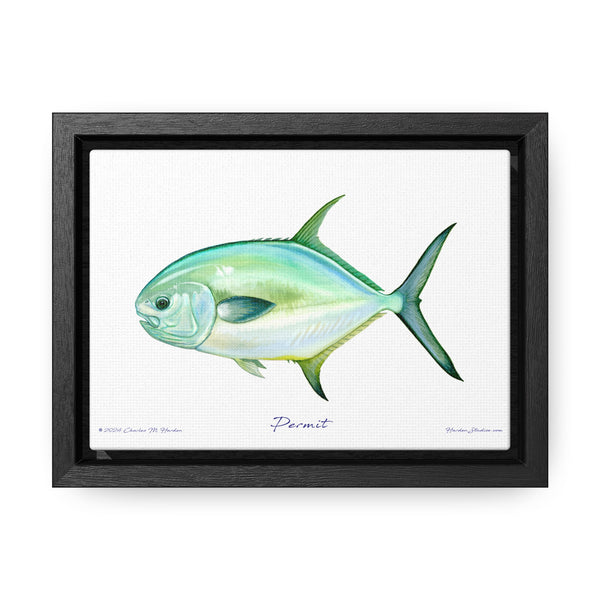 Framed Permit Canvas Fish Fishing Wall Art Print with Free Shipping