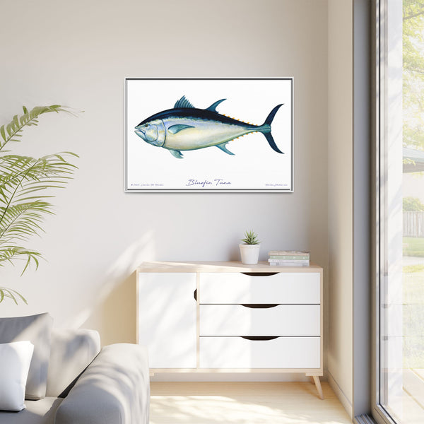 Bluefin Tuna Framed Canvas Fish Art Print