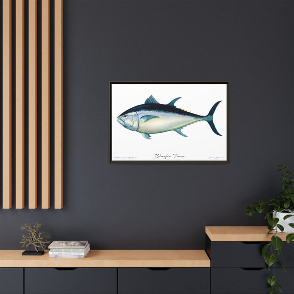 Bluefin Tuna Framed Canvas Fish Art Print