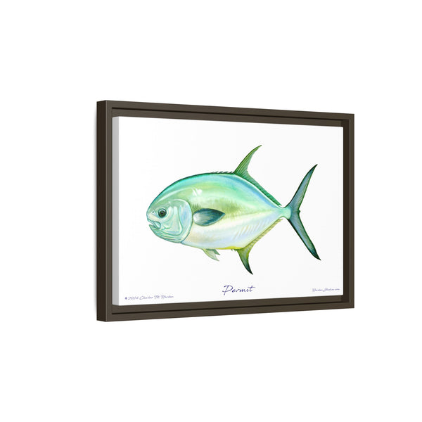 Framed Permit Canvas Fish Fishing Wall Art Print