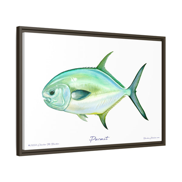 Framed Permit Canvas Fish Fishing Wall Art Print