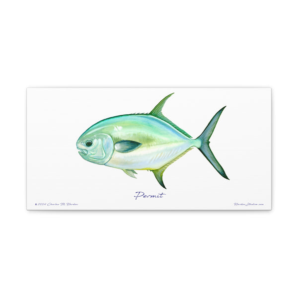 Permit Fish Canvas Wall Art Print