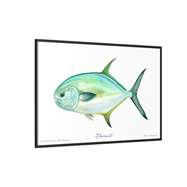 Framed Permit Canvas Fish Fishing Wall Art Print