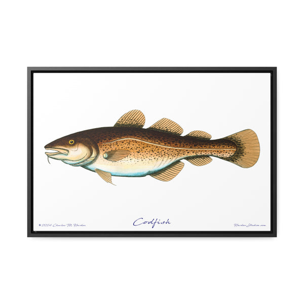 Framed Codfish Canvas Fish Fishing Wall Art Print with Free Shipping